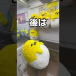 巨大なぐでたまを取っちゃうゾ大作戦#UFOキャッチャー #クレーンゲーム  #ゲームセンター #攻略 #shorts  #youtubeshorts
