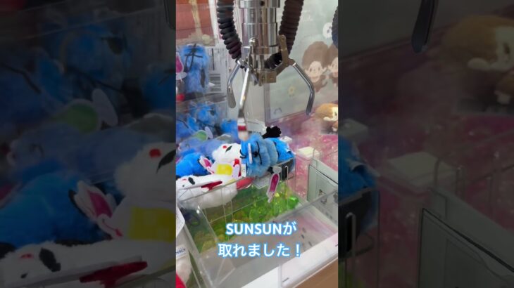 UFOキャッチャーでSUNSUNにチャレンジ！