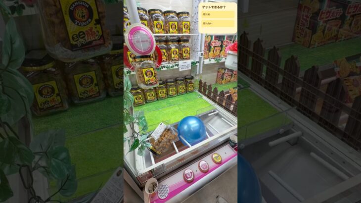 UFOキャッチャーで景品ゲットに挑戦！🧸🔥果たして無事に取れるのか！？最後まで見逃さないでね😳#UFOキャッチャー #クレーンゲーム #ゲームセンター #ゲーセン #景品ゲット #神引き