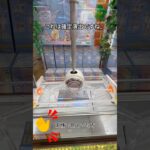 【クレーンゲーム】namcoの橋渡し攻略してみた #クレーンゲーム #ゲームセンター #ゲーセン #ufoキャッチャー #橋渡し