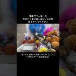 【早くない？】最新ブラッキーがもうごちゃ混ぜ処分台に！？　#ポケモン#pokemon #ポケットモンスター #クレーンゲーム#ぬいぐるみ