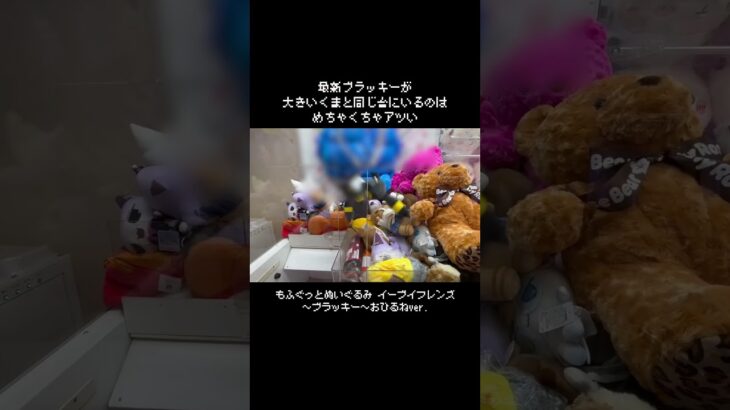 【早くない？】最新ブラッキーがもうごちゃ混ぜ処分台に！？　#ポケモン#pokemon #ポケットモンスター #クレーンゲーム#ぬいぐるみ