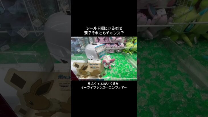 【罠？チャンス？】人気のニンフィアがシールド際にいるけど…　#ポケモン#pokemon #ポケットモンスター #クレーンゲーム#ぬいぐるみ