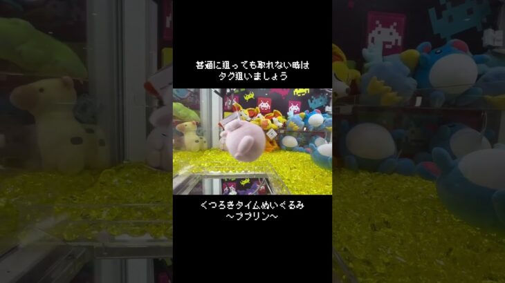 【タグは正義】普通に狙っても取れない真ん丸ププリンはココ狙え！　#ポケモン#pokemon #ポケットモンスター #クレーンゲーム#ぬいぐるみ