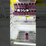 【無料クーポン】黒キティを一髪ゲット！リングを引き寄せる神技攻略#shorts