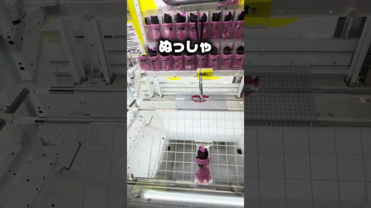 【無料クーポン】黒キティを一髪ゲット！リングを引き寄せる神技攻略#shorts
