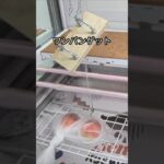 ベネクス大和店で桃とチーズタルトの景品をゲット #shorts