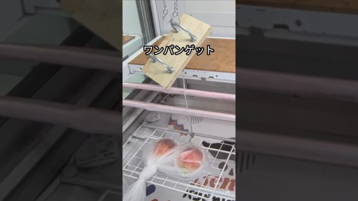 ベネクス大和店で桃とチーズタルトの景品をゲット #shorts
