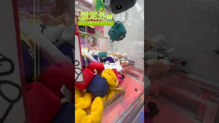 とんでもないコトが起こったゾ #shorts  #cranegame  #フック #夾娃娃機 #ゲームセンター ＃ゲーセン＃倉庫系 #クレーンゲーム