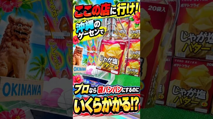 沖縄のゲーセンで袋パンパンにするといくらになるのか挑戦してみたら、、、 #shorts #クレーンゲーム #ufoキャッチャー # ゲーセン #ゲームセンター #arcade