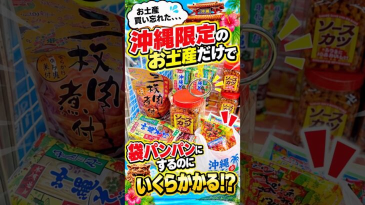 沖縄でお土産を買い忘れたのでゲーセンで調達したらまさかの結果に、、、#shorts #クレーンゲーム #ufoキャッチャー # ゲーセン #ゲームセンター #arcade