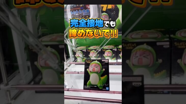 【橋渡し】店員さんが教えてくれない裏技!? #shorts #おすすめ #ufoキャッチャー＃クレーンゲーム#クレゲ #clawmachine #ゲームセンター