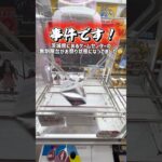 【神設定】これをやらない人は正直クレーンゲーマー失格です😇#shorts #youtubeshorts #クレーンゲーム #ufoキャッチャー #攻略