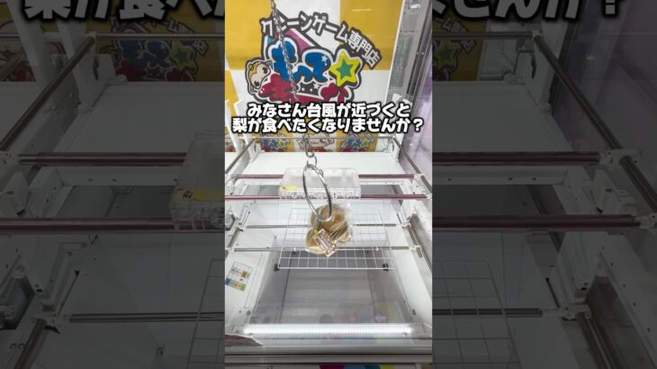 フック台攻略これを真似すればなんとかなります　#shorts #youtubeshorts #クレーンゲーム #ufoキャッチャー #ゲームセンター