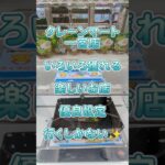 【クレーンゲーム】クレーンマート 一宮店 いろいろ獲れる 楽しいお店 行くしかない✨ #クレーンゲーム #クレゲ #ゲームセンター #ufoキャッチャー #ゲーセン #プライズ獲得 #新店舗