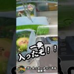 【一発】#こびとづかん #タグ掛け #クレーンゲーム #ufoキャッチャー #攻略