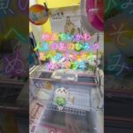 映画ちいかわ人魚の島のひみつ島へようこそぬいぐるみを取って来たよ！ #ufoキャッチャー #クレーンゲーム #ゲームセンター #ゲーセン #クレゲ #ちいかわ #ハチワレ #ヨイショし隊ちゃんねる