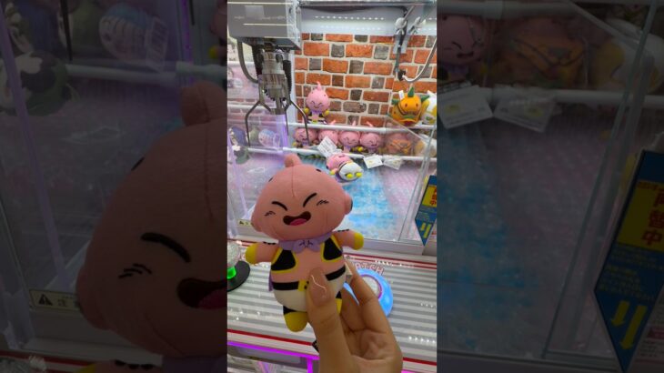 珍しい景品を取ろうとしたら… #クレーンゲーム #ufoキャッチャー #ぬいぐるみ #ゲームセンター