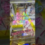 大人気！ちいかわぷちクリップを取って来たよ！ #ufoキャッチャー #クレーンゲーム #ゲームセンター #ゲーセン #プライズ #ちいかわ #ハチワレ #ヨイショし隊ちゃんねる #フォロー