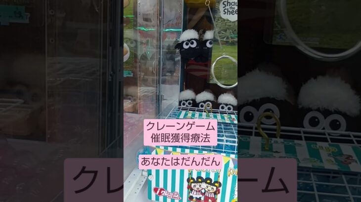 《クレーンゲーム》フック設定🪝　睡眠術で景品獲得を（笑）　ｉクレーン越谷店　 #クレーンゲーム #プライズ獲得 #フック設定 #ufoキャッチャー #ガチャガチャ #ゲーセン