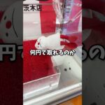 クレーンゲーマーがスンスンとノンノンのぬいぐるみ何円で取れるか検証してみた。 #クレーンゲーム #ufoキャッチャー #ゲームセンター