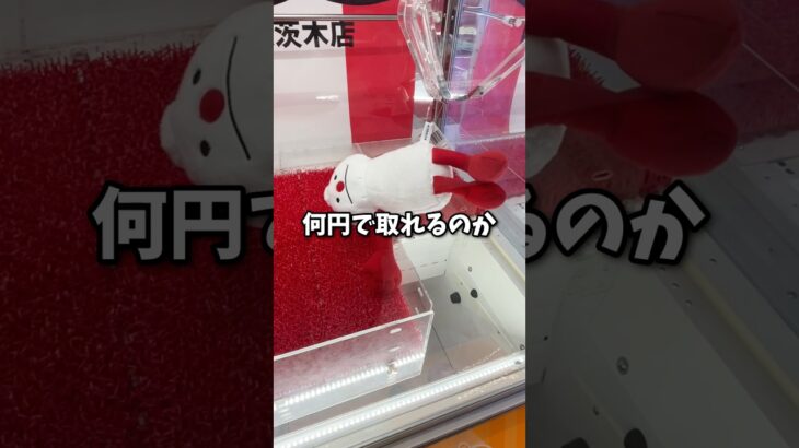 クレーンゲーマーがスンスンとノンノンのぬいぐるみ何円で取れるか検証してみた。 #クレーンゲーム #ufoキャッチャー #ゲームセンター