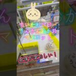ちいかわベビーりんりんおかおマスコットを取って来たよ！ #ufoキャッチャー #クレーンゲーム #クレゲ #ゲームセンター #ぬいぐるみ #ちいかわ #うさぎ #ヨイショし隊ちゃんねる #フォロー