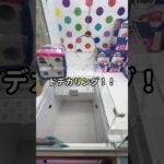 【ノーカット】ドデカリング攻略なるか！？毎日５００円チャレンジ３０日目 #ufoキャッチャー #フック#クレーンゲーム #ゲームセンター #トレジャーパレス