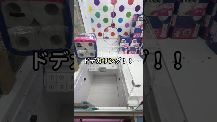 【ノーカット】ドデカリング攻略なるか！？毎日５００円チャレンジ３０日目 #ufoキャッチャー #フック#クレーンゲーム #ゲームセンター #トレジャーパレス