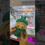 女性に大人気なちいかわ景品を狙おうとしたら… #クレーンゲーム #ufoキャッチャー #ぬいぐるみ #ちいかわ