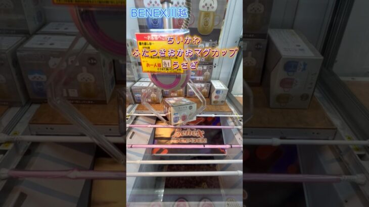 ちいかわ ふたつきおかおマグカップ うさぎ　 #クレーンゲーム  #ufoキャッチャー  #初心者 #攻略  #ベネクス川越 #ちいかわ
