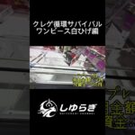 【検証】クレーンゲームサバイバルワンピース白ひげ編 #クレーンゲーム #ufoキャッチャー #クレーンゲーム攻略 #ショート動画 #メルカリ #検証 #ワンピース