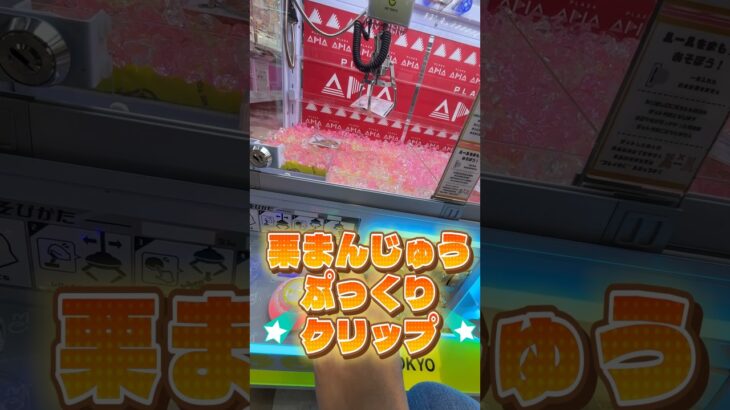 【脳汁】何回やっても落ちない絶望台を力技で攻略してみた⁠#ちいかわ #クレーンゲーム #ufoキャッチャー #ゲーセン #確率機 #神攻略 #脳汁 #フェルおじちいかわ日記