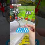 デカフック台あるよ　#ufoキャッチャー #クレーンゲーム