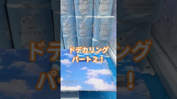 【ノーカット】またまたドデカリング攻略します！毎日５００円チャレンジ３３日目 #ufoキャッチャー #フック#クレーンゲーム #ゲームセンター #クレーンマート