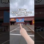 新潟でめちゃくちゃ獲れると噂のゲーセンに潜入した結果がヤバすぎた😨【📍おたちゅう赤道店】 #クレーンゲーム #ゲームセンター #ゲーセン #ufoキャッチャー #新潟 #新潟県