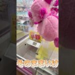 【クレーンゲーム】激かわパンダキティちゃん！姉の為にゲット！！#クレーンゲーム #ufoキャッチャー #ぬいぐるみ  #プライズ #ゲームセンター #ゲーセン