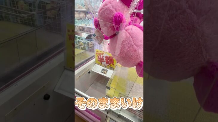 【クレーンゲーム】激かわパンダキティちゃん！姉の為にゲット！！#クレーンゲーム #ufoキャッチャー #ぬいぐるみ  #プライズ #ゲームセンター #ゲーセン