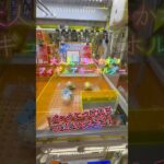 ちいかわフィギュアキーホルダーを取りに来たよ！ #ufoキャッチャー #クレーンゲーム #クレゲ #ゲームセンター #フィギュア #ちいかわ #ハチワレ #ヨイショし隊ちゃんねる #フォロー