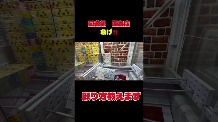 回遊館西条店❤️ #クレーンゲーム 取り方教えます。 #プライズ獲得 #ゲームセンター #ufoキャッチャー #ゲーセン #回遊館