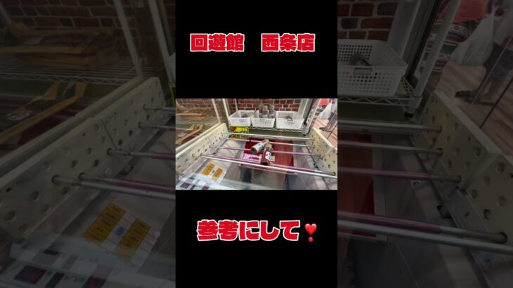 回遊館西条店でお買い物してびびった‼️ #クレーンゲーム 回遊館西条店#回遊館# #ゲームセンター #アミューズメント限定 #ufoキャッチャー #ゲーセン #プライズ獲得