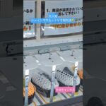 【クレーンゲーム】大人気シャインマスカットと梨対決！の巻 #プライズ獲得 #クレーンゲーム攻略 #ufoキャッチャー #ゲーセン #Lフック#フック設定