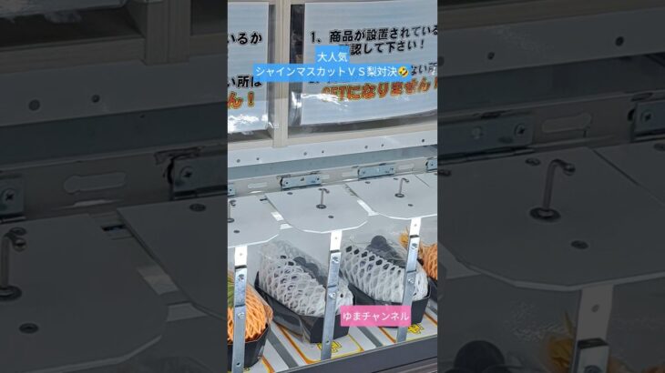 【クレーンゲーム】大人気シャインマスカットと梨対決！の巻 #プライズ獲得 #クレーンゲーム攻略 #ufoキャッチャー #ゲーセン #Lフック#フック設定