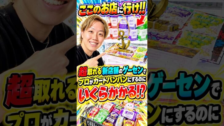 日本一取りやすい店舗でカートパンパンになるまで景品を取ったらまさかの結果に！！！　#クレーンゲーム #ufoキャッチャー # ゲーセン #ゲームセンター #arcade