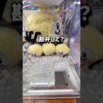 【ちいかわ】途中の悔しい！次回ちいかわハロウィン攻略！チャンネル登録お願いします！ #クレーンゲーム #ufoキャッチャー #ゲームセンター #ゲーセン #ちいかわ #chiikawa #ぬいぐるみ