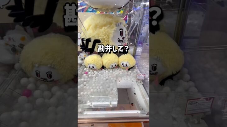 【ちいかわ】途中の悔しい！次回ちいかわハロウィン攻略！チャンネル登録お願いします！ #クレーンゲーム #ufoキャッチャー #ゲームセンター #ゲーセン #ちいかわ #chiikawa #ぬいぐるみ