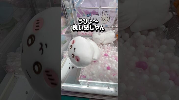 【ちいかわ】大きくても簡単❣️クレゲで損したくない人チャンネル登録お願いします🙏 #クレーンゲーム #ufoキャッチャー #clawmachine #ゲームセンター #ゲーセン #ちいかわ #攻略