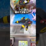 【ポケモン】ココを狙うと…⭕️クレゲで失敗したくない人チャンネル登録お願いします！ #クレーンゲーム #ufoキャッチャー #clawmachine #ゲーセン #ポケモン #pokemon #攻略