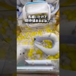 【ポケモン】面白い動きするなぁ🤣チャンネル登録お願いします！ #クレーンゲーム #ufoキャッチャー #clawmachine #ゲームセンター #ゲーセン #ポケモン #pokemon #攻略