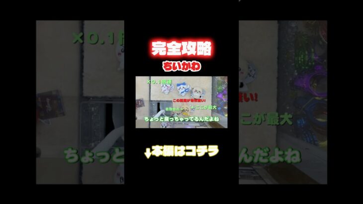 【完全攻略】ちいかわ全討伐してきた #クレーンゲーム #プライズ獲得 #クレゲ #ufoキャッチャー #ちいかわ #ゲームセンター #神回 #ゲーセン #攻略 #shorts #shortvideo